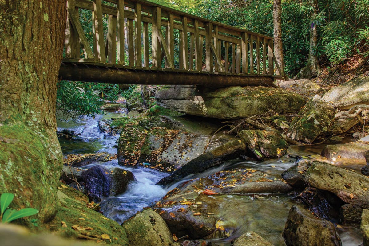 AVERY County Press Release